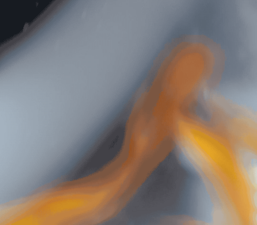 IMG_2084.GIF