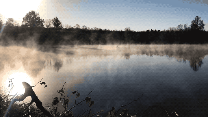 IMG_4439.GIF
