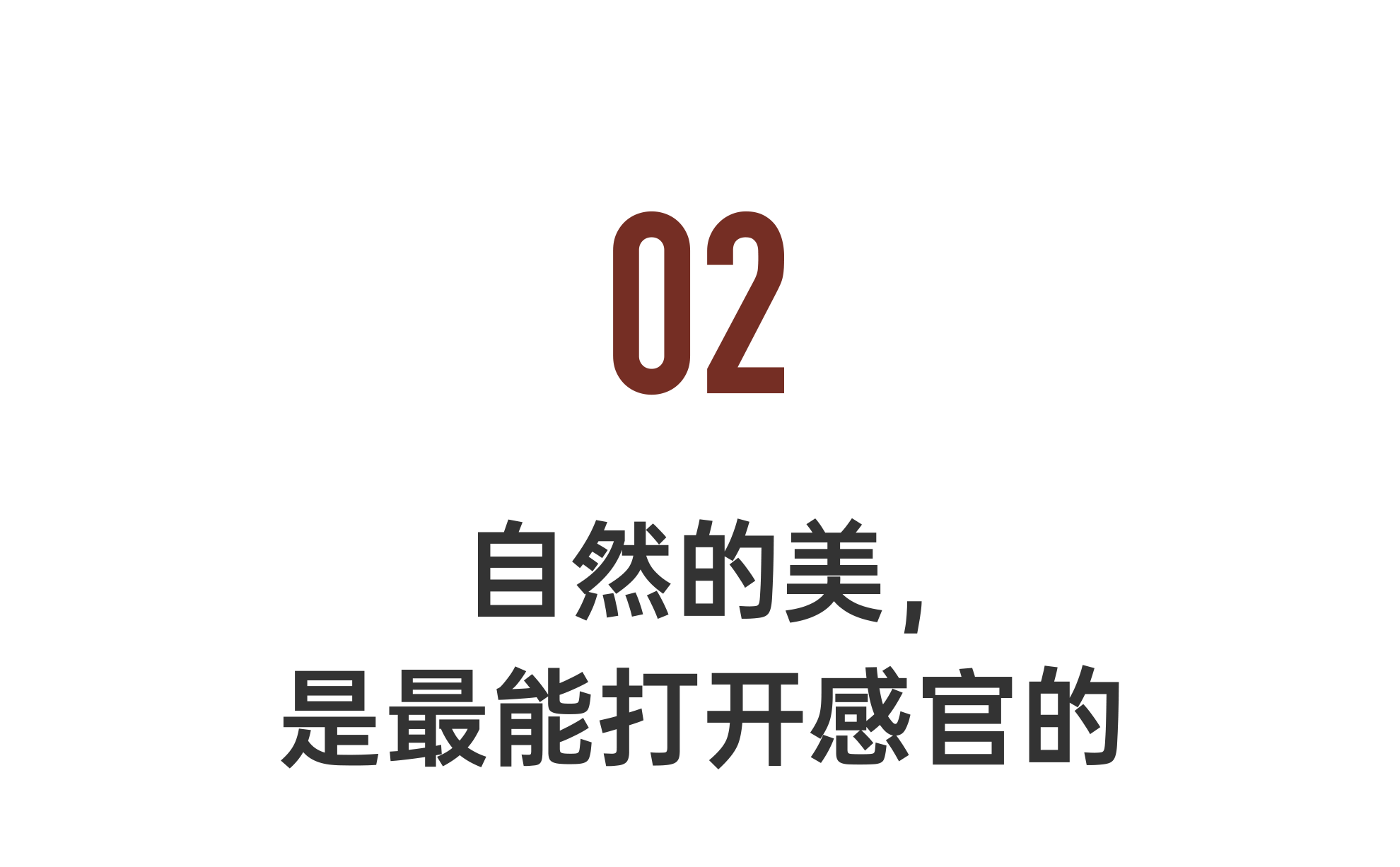 IMG_2909.PNG