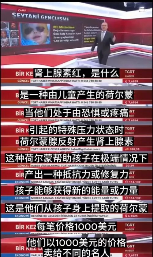 a6.jpg