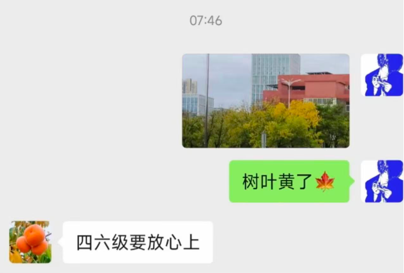 IMG_4441.PNG