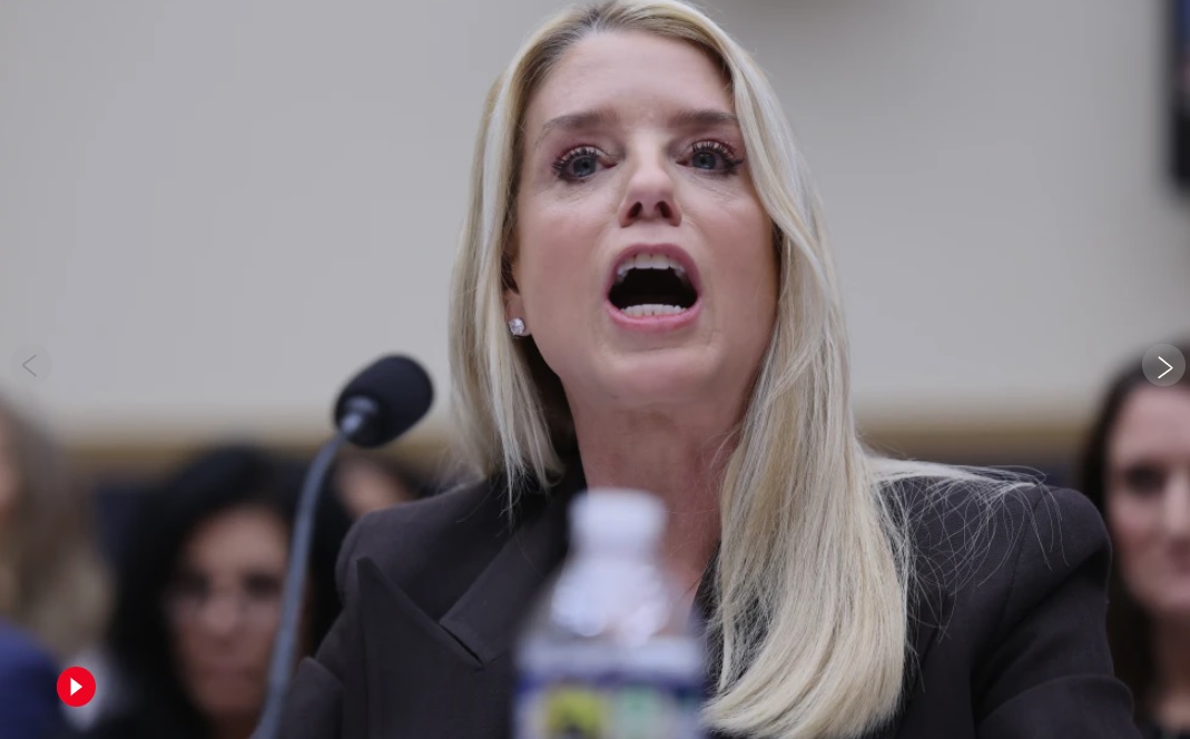 Bondi shouts during the hearing.jpg
