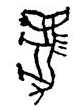 IMG_0206.PNG