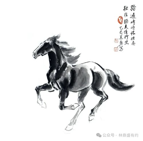 a5.jpg