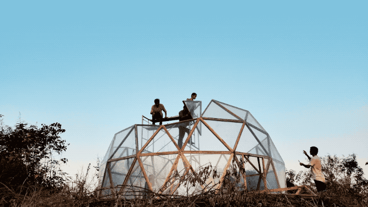 IMG_9898.GIF