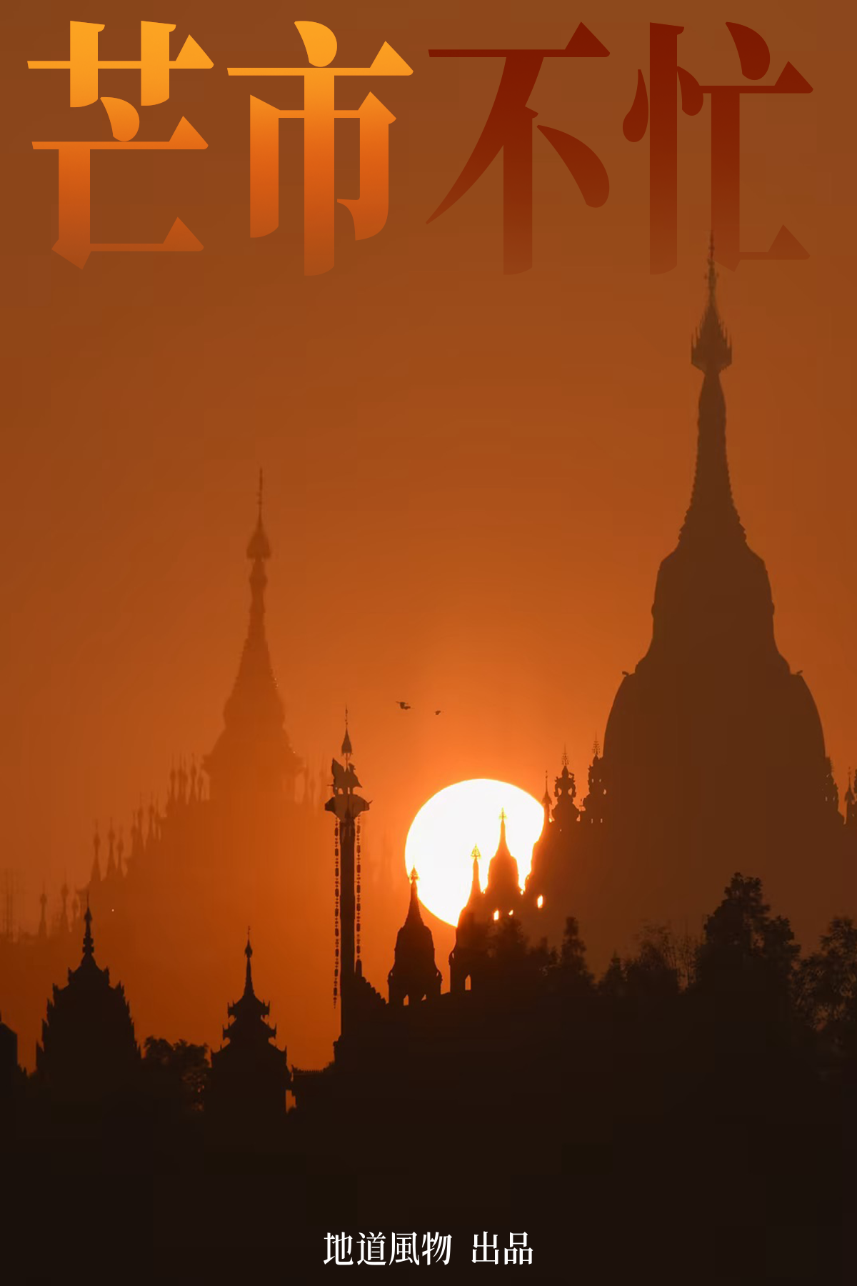 IMG_1024.PNG