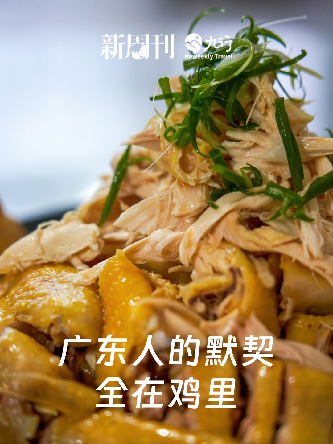 IMG_1112.PNG