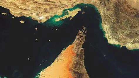 8.png