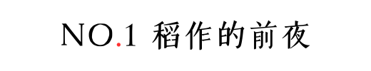 IMG_2784.PNG
