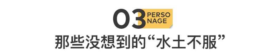 IMG_3100.PNG