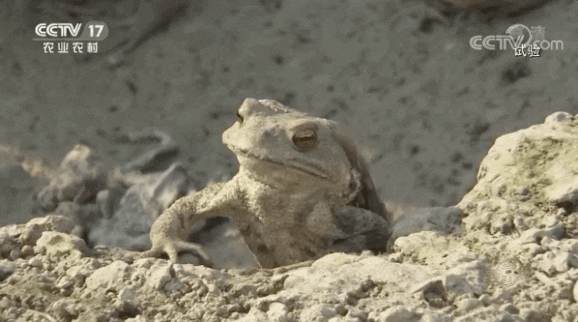 IMG_5794.GIF