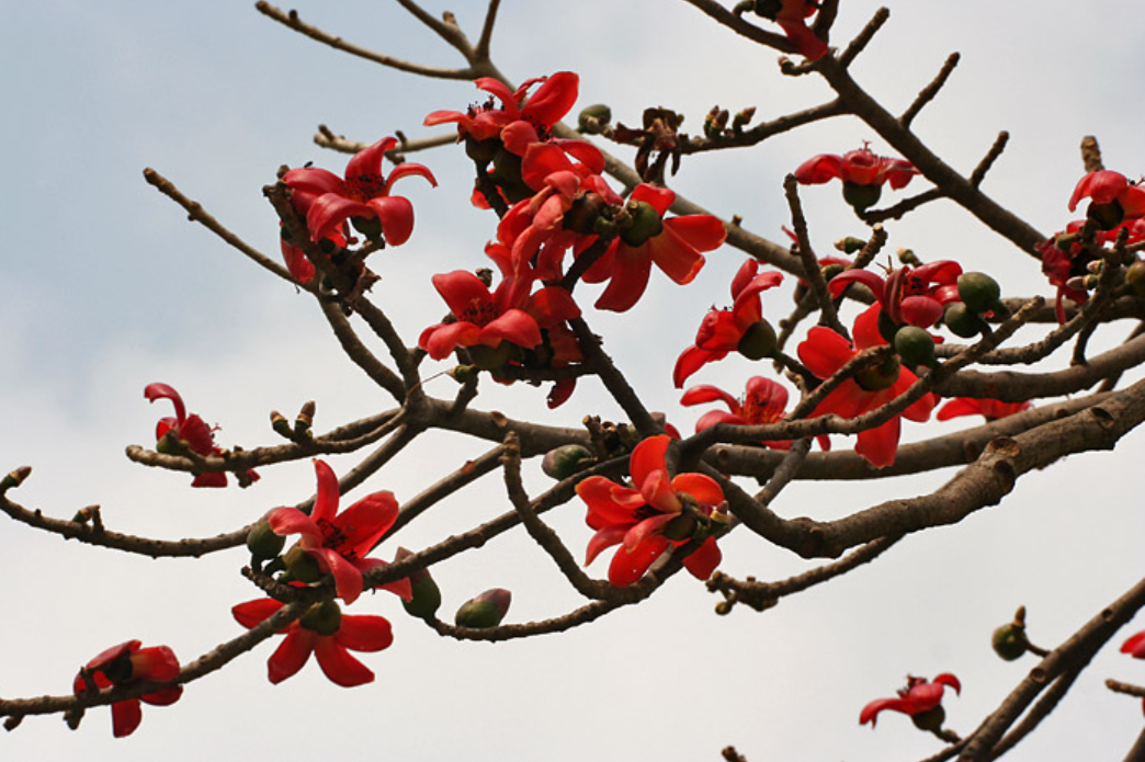 IMG_7556.PNG