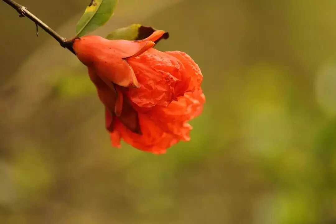 IMG_7564.JPG