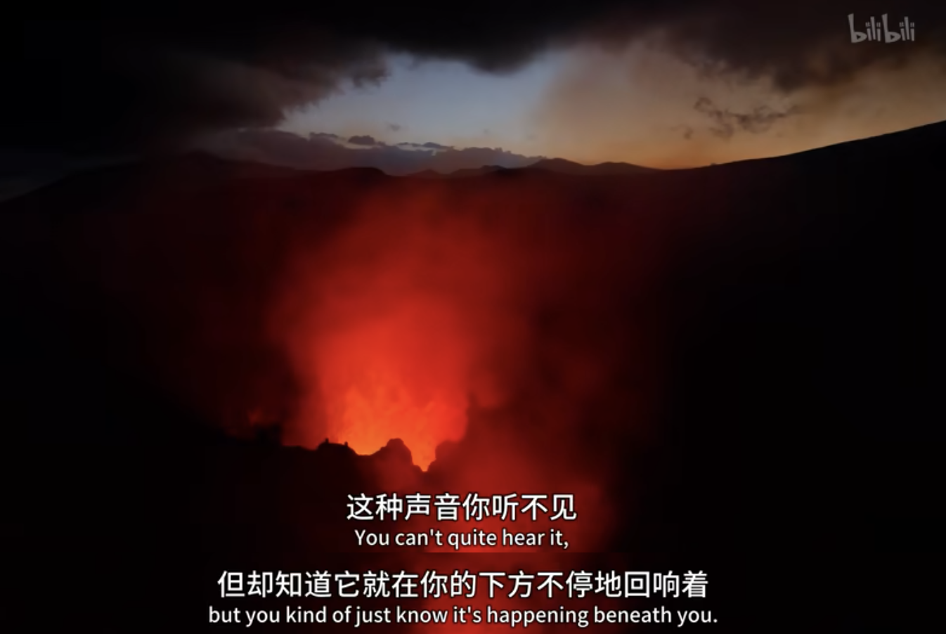 IMG_8992.PNG