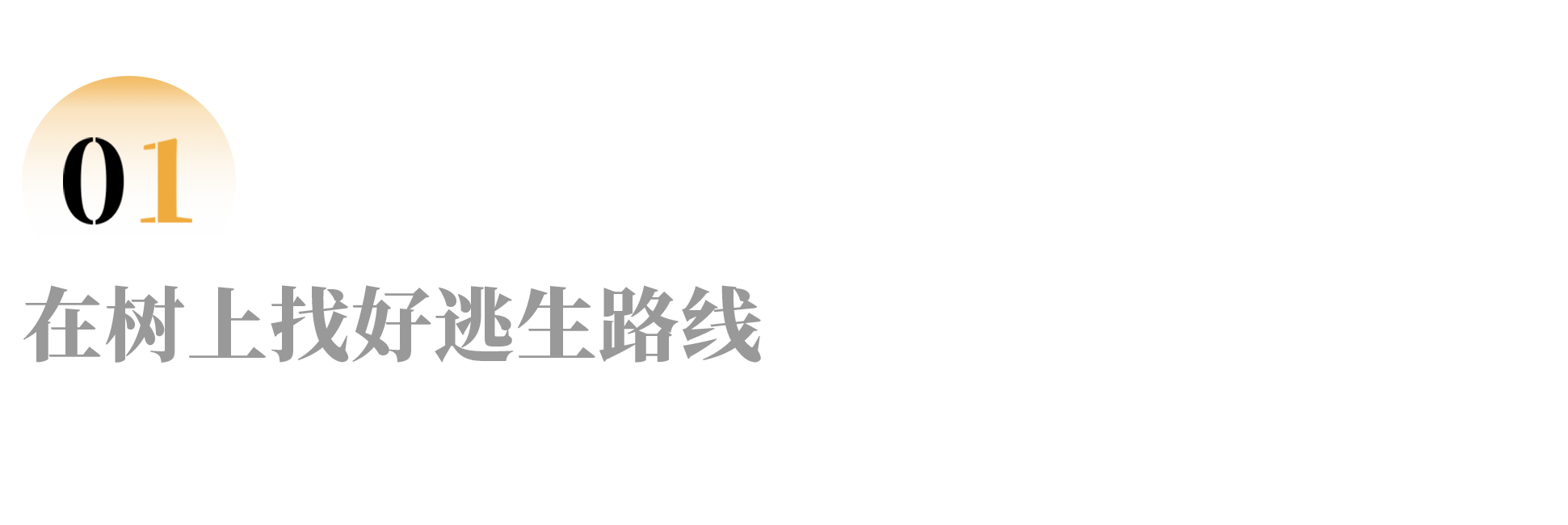 IMG_1323.PNG
