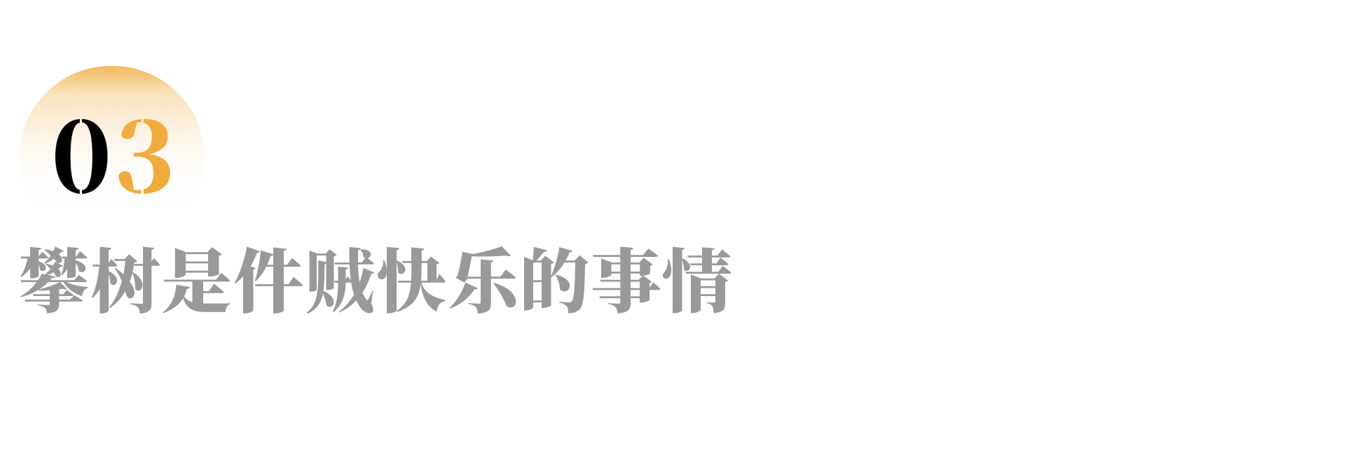 IMG_1328.PNG