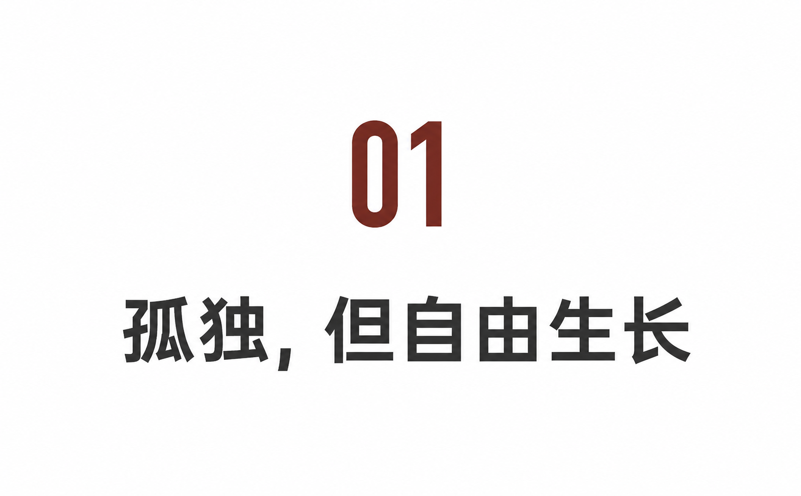 IMG_5590.PNG