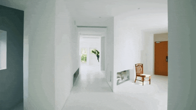 IMG_6040.GIF