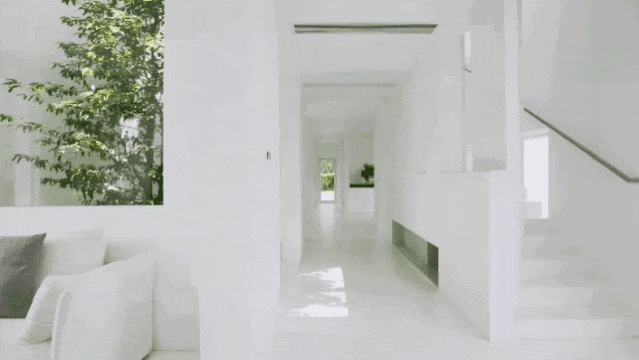IMG_6046.GIF