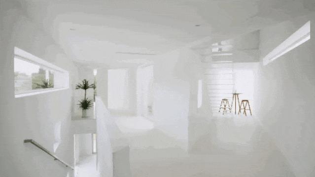 IMG_6051.GIF