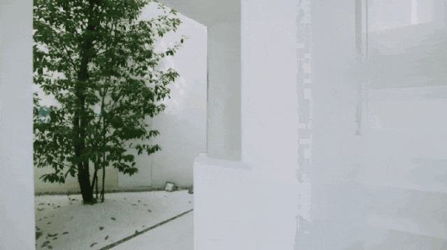 IMG_6065.GIF