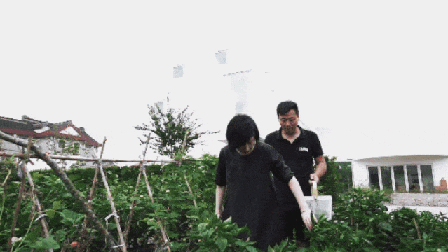 IMG_6068.GIF