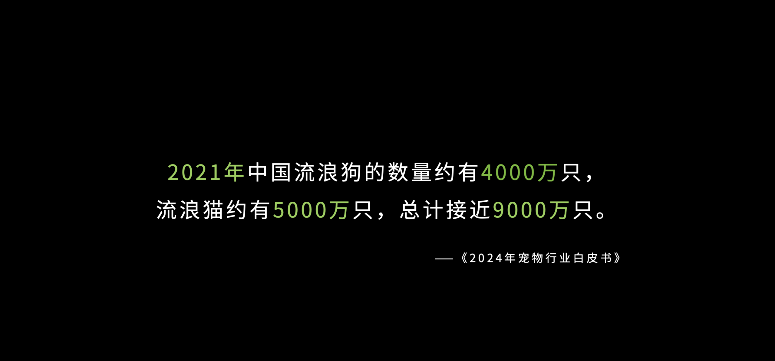 IMG_5951.PNG