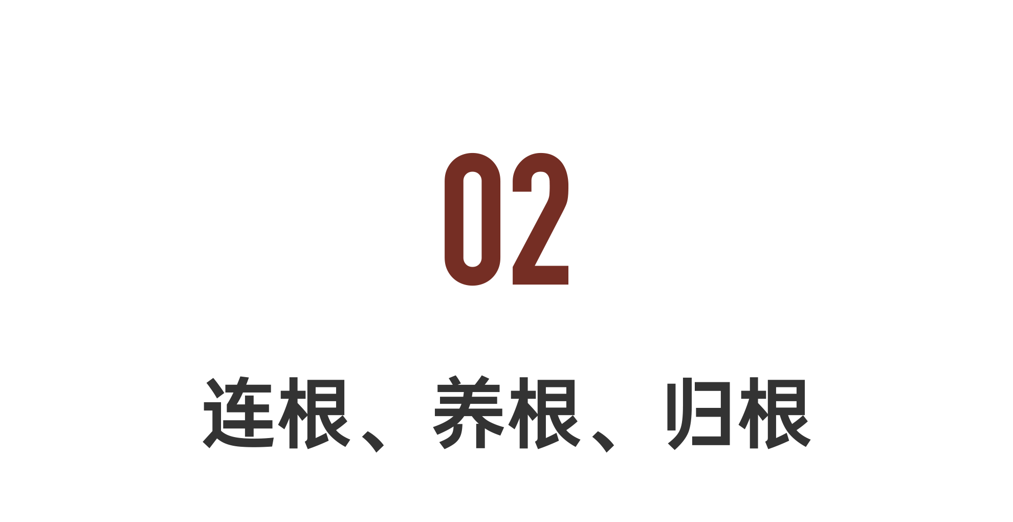 IMG_6454.PNG