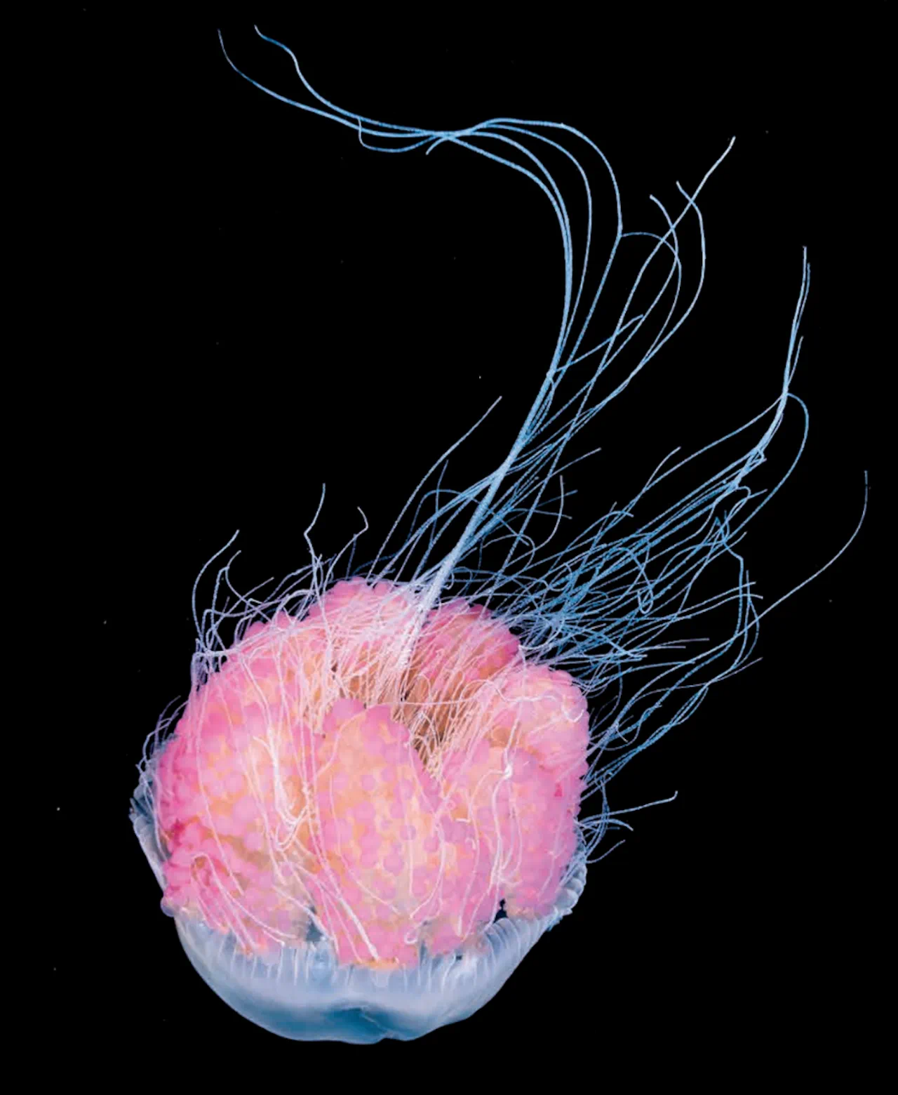 IMG_6353.PNG