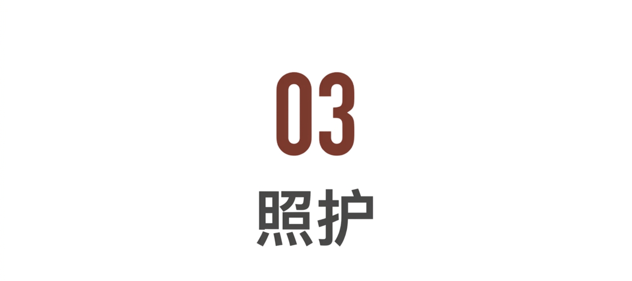 IMG_7079.PNG