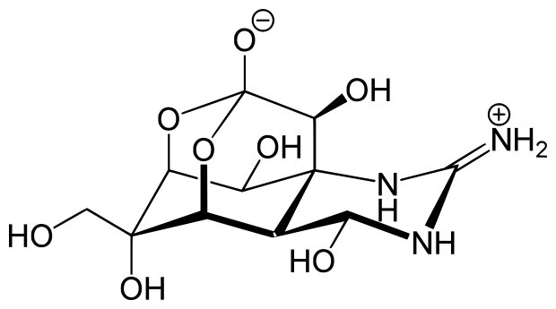 IMG_7796.PNG