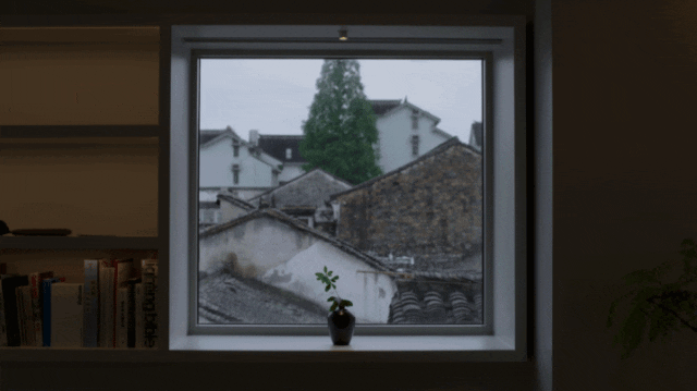IMG_1901.GIF
