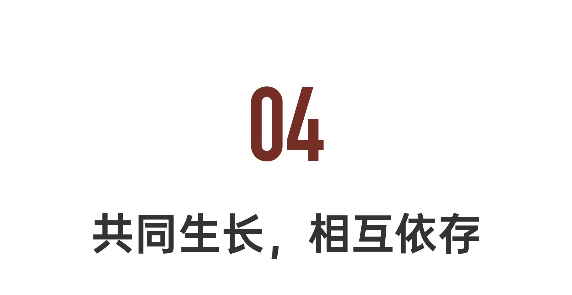 IMG_1915.PNG