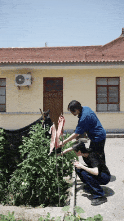 71-ezgif.com-optimize.gif