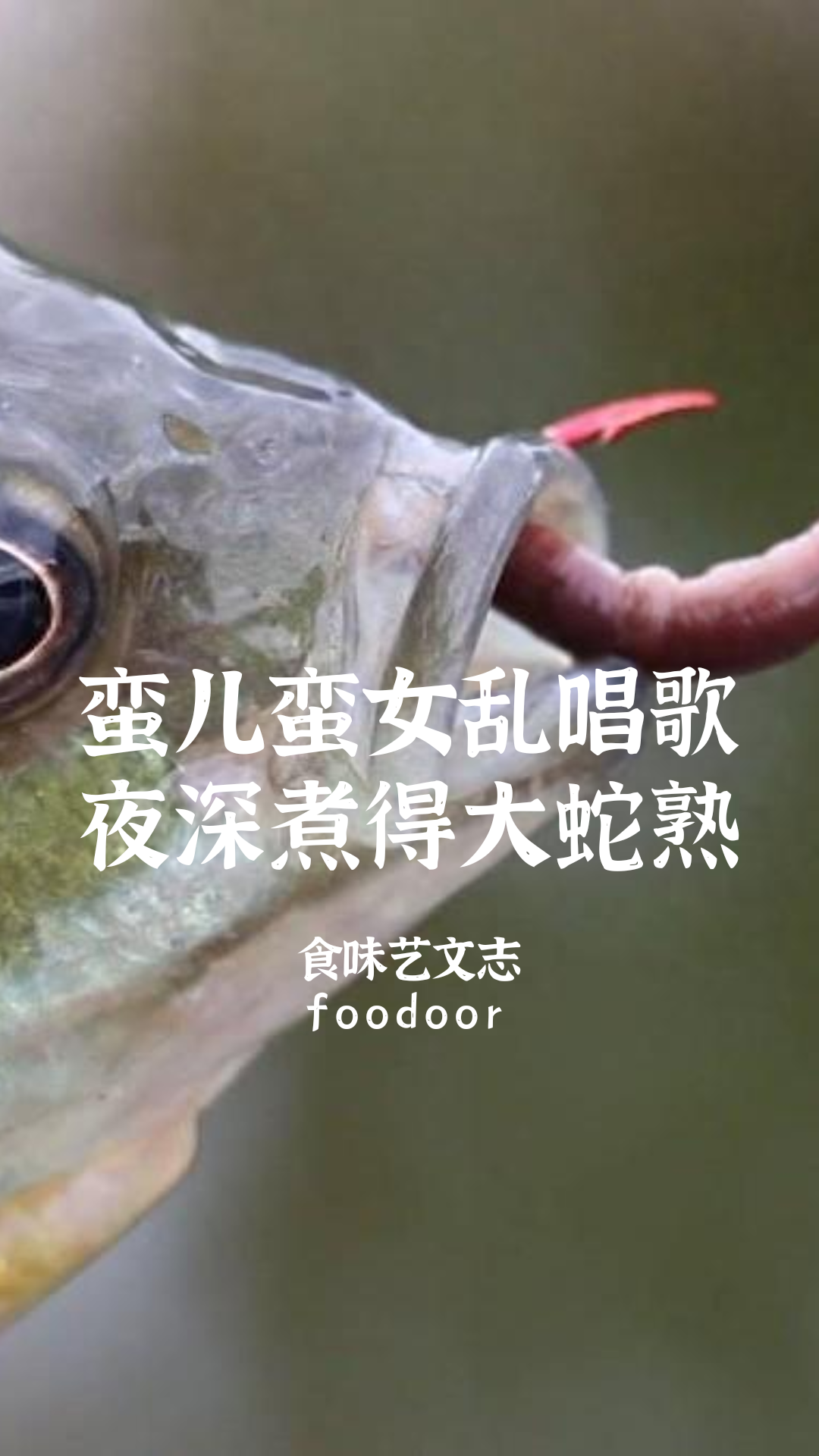 IMG_3606.PNG
