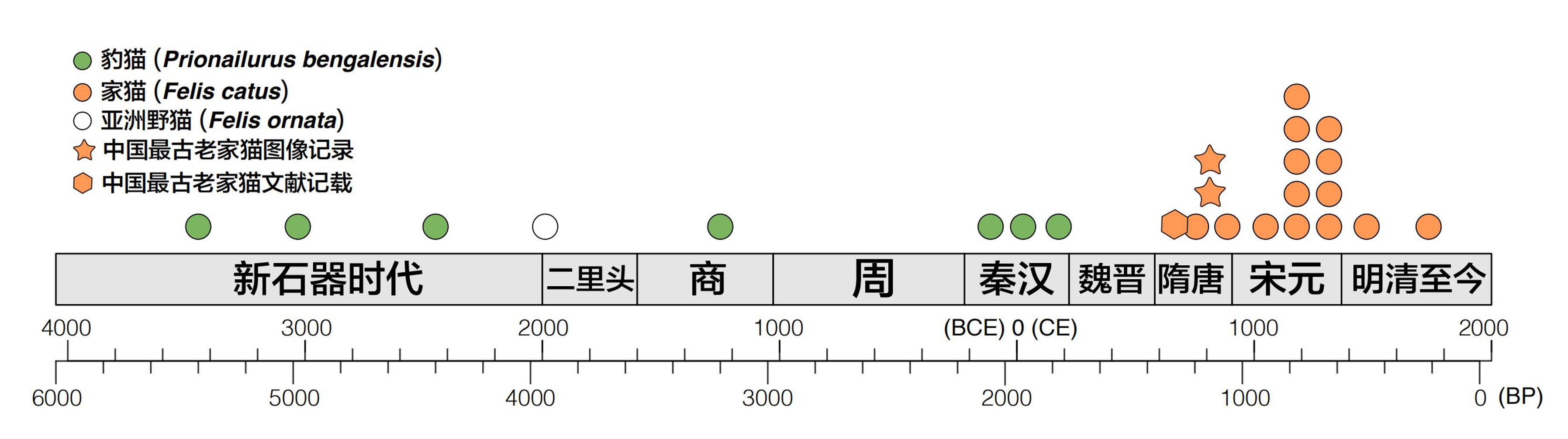 IMG_3755 2.PNG