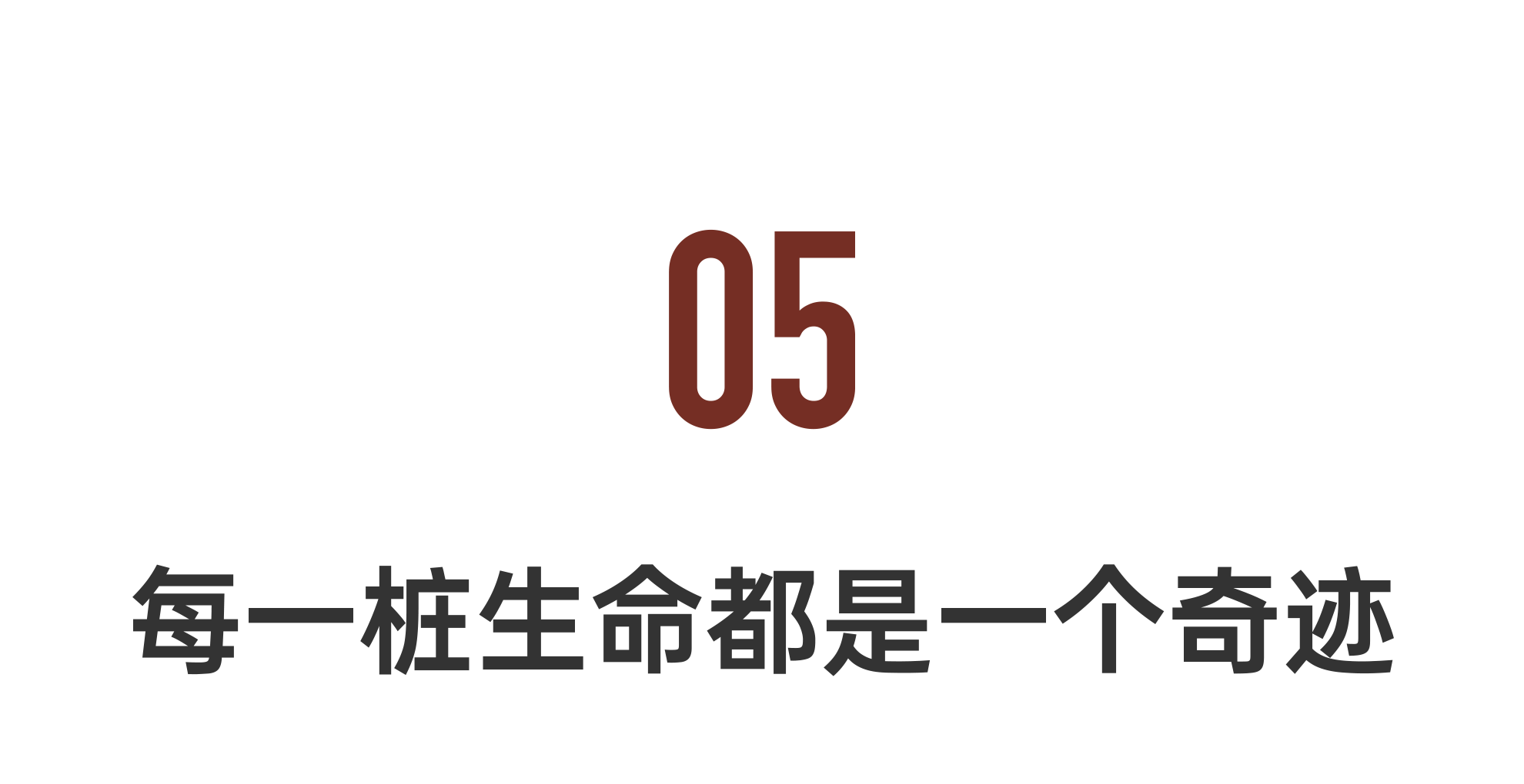 IMG_4455.PNG
