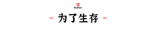 IMG_4521.PNG