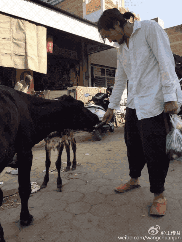 IMG_5010.GIF