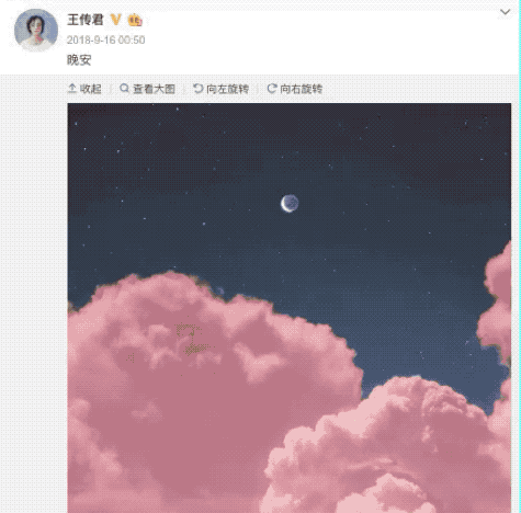 IMG_5013.GIF