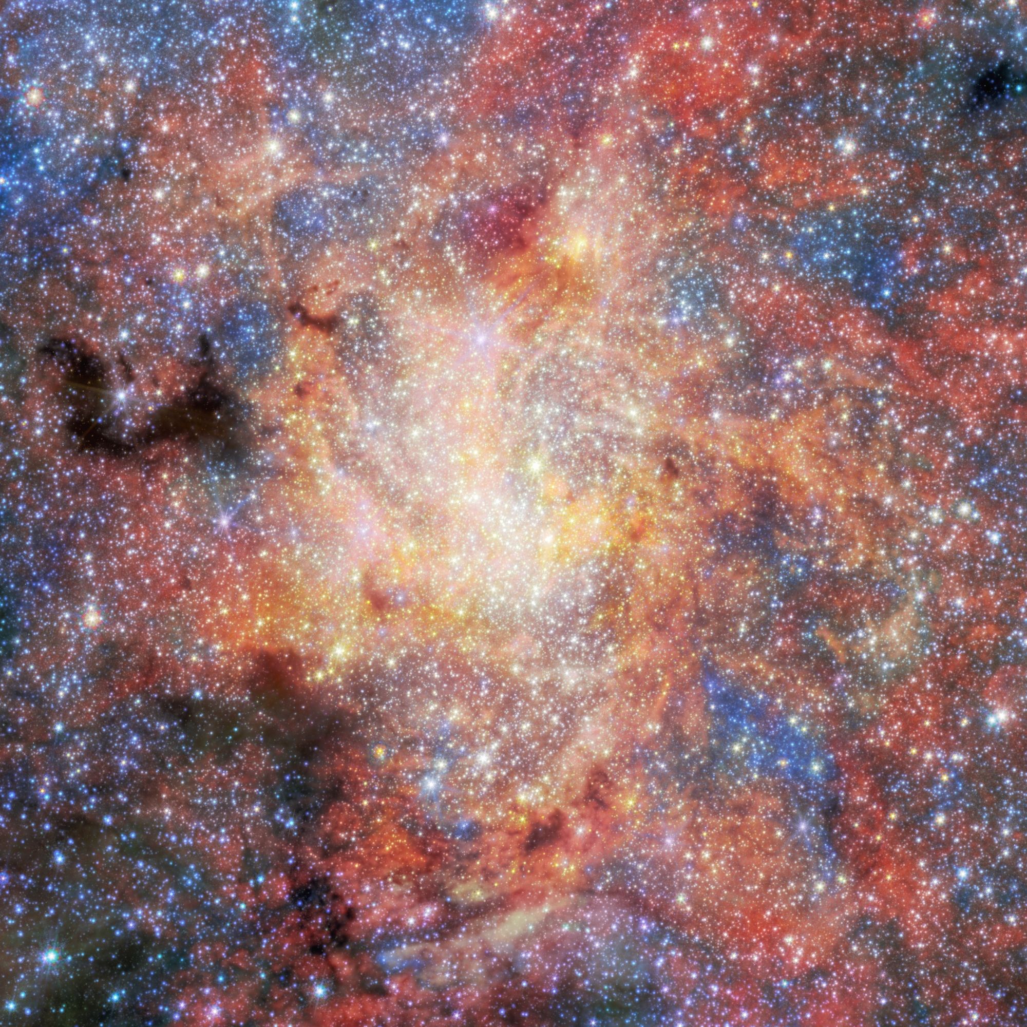 1-compressed.jpg